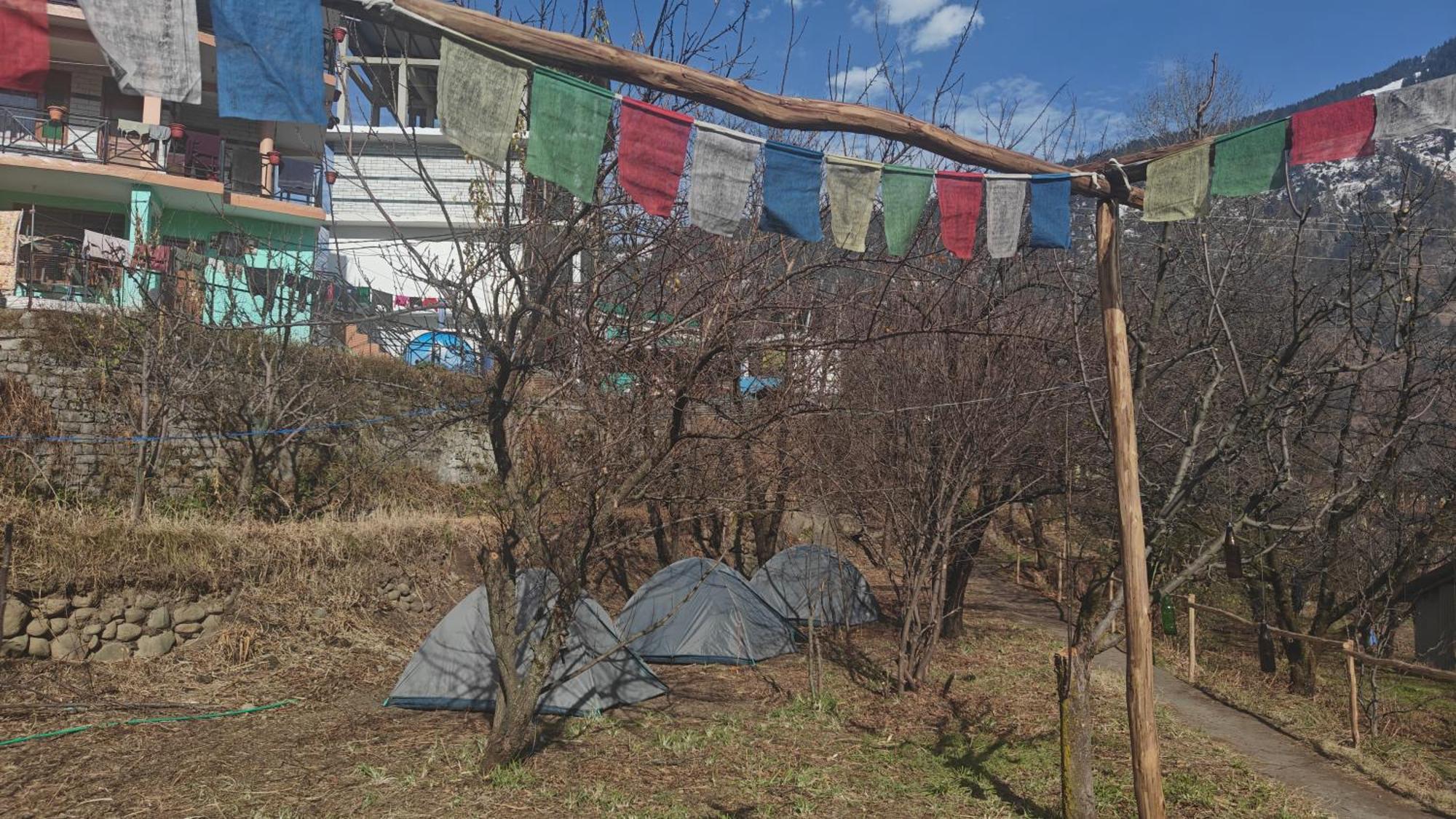 Basecamp Manaliホステル 部屋 写真