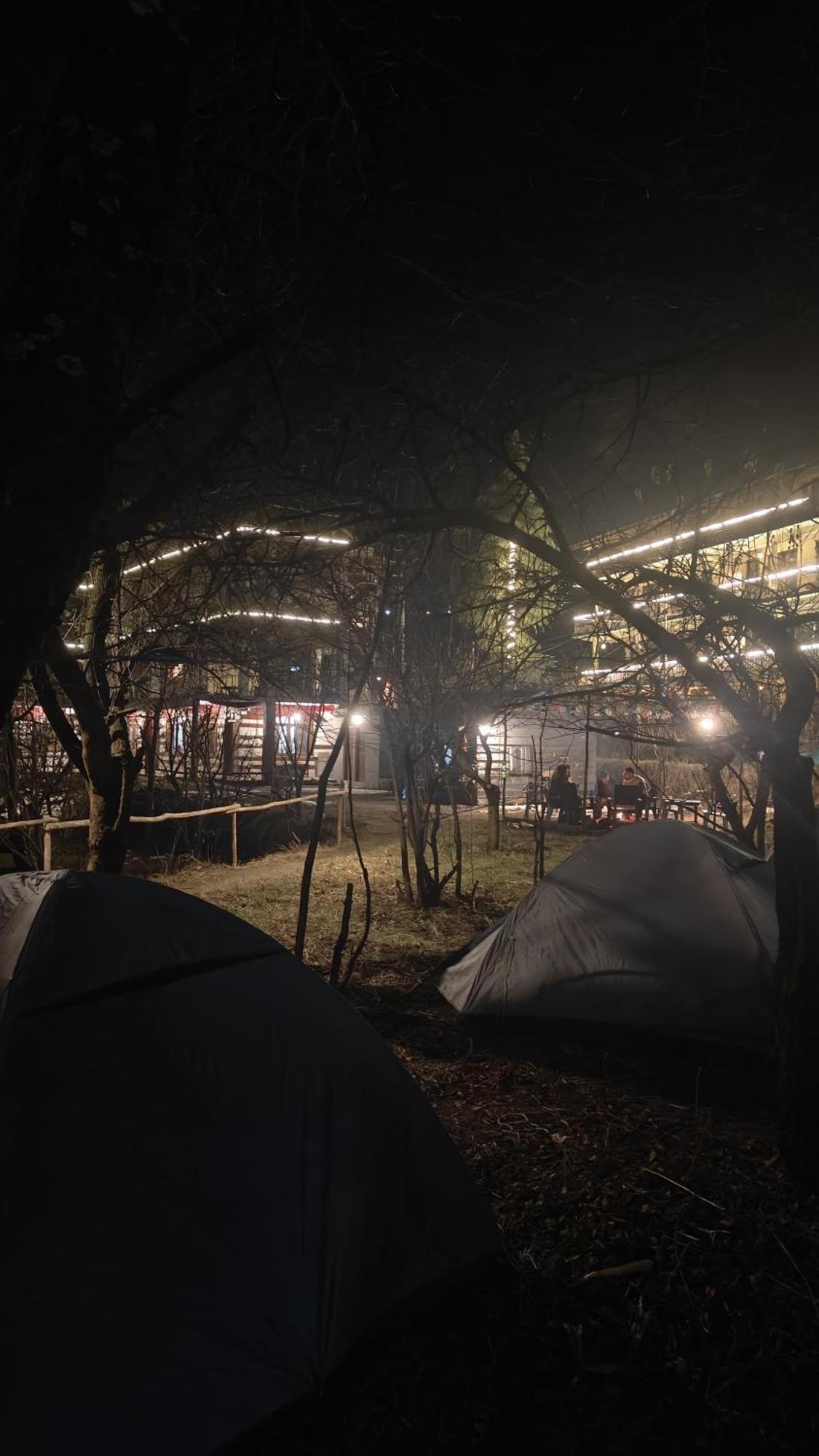 Basecamp Manaliホステル エクステリア 写真