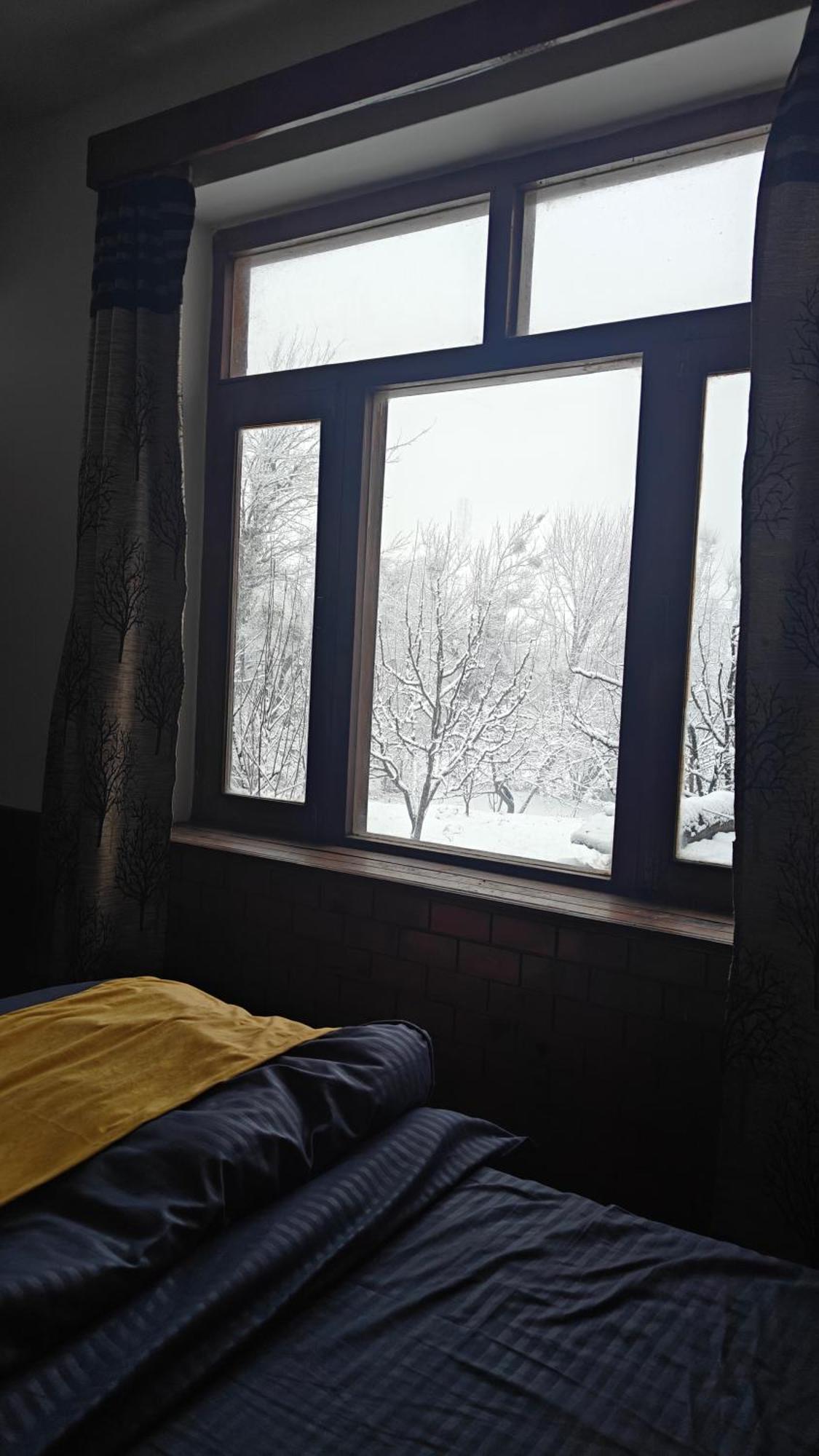 Basecamp Manaliホステル 部屋 写真
